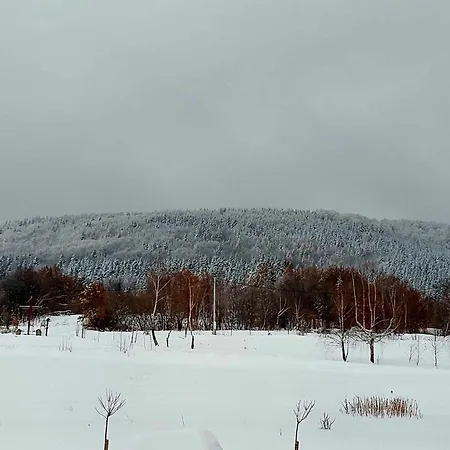 Κατάλυμα σε φάρμα Zasankowe Wzgorze Zasan
